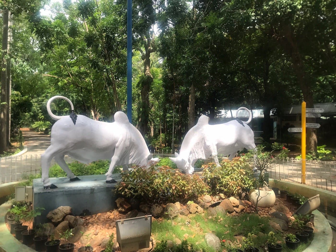 Pondicherry Botanical Gardens