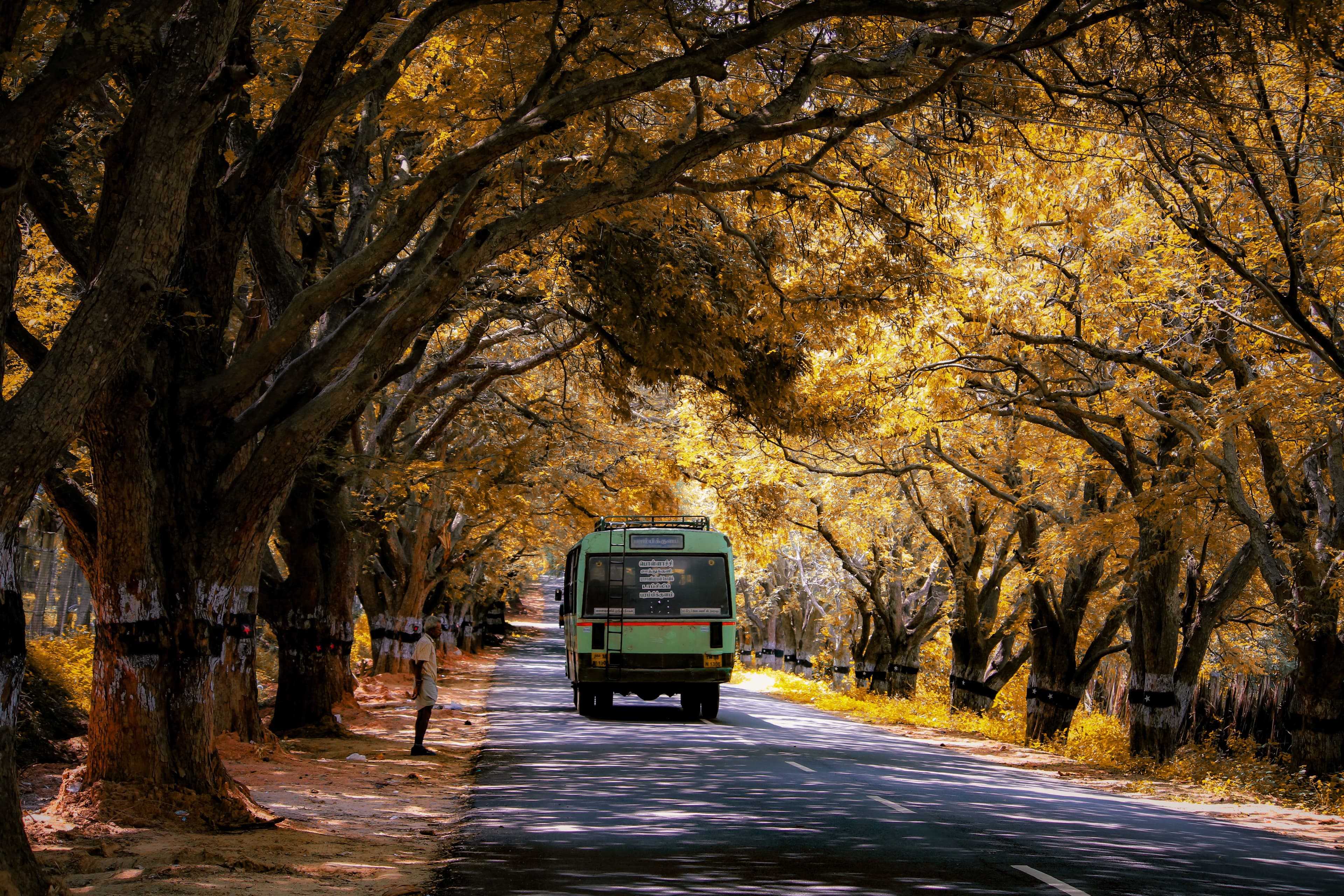 Reaching Pondy by Bus